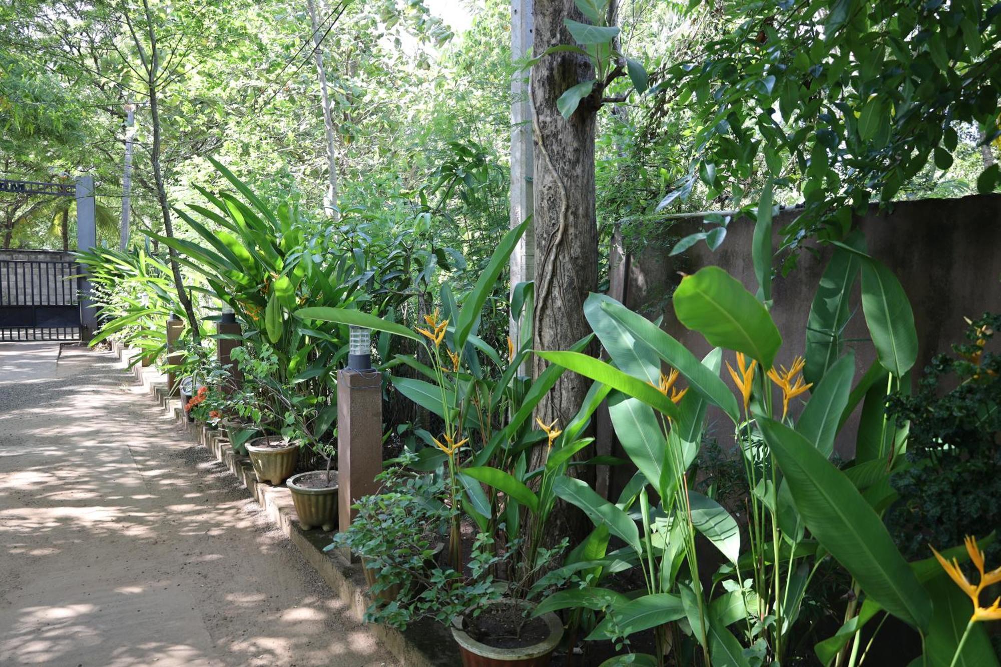 Max Safari Villa Udawalawe Exterior photo